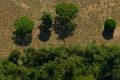 Floresta Amazônica próxima a área desmatada e queimada.  Incêndio próximo a propriedades rurais.