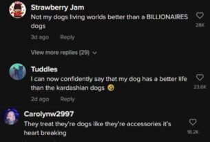 Cachorros Kim Kardashian