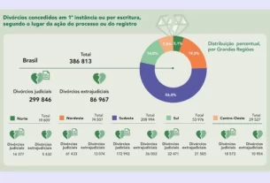 Número de divórcios registrados em 2021 no Brasil (Foto: Reprodução/IBGE)